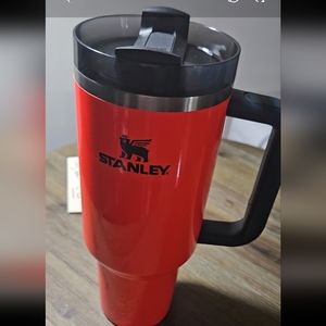 VHTF UNRELEASED ORANGE BLAZE STANLEY